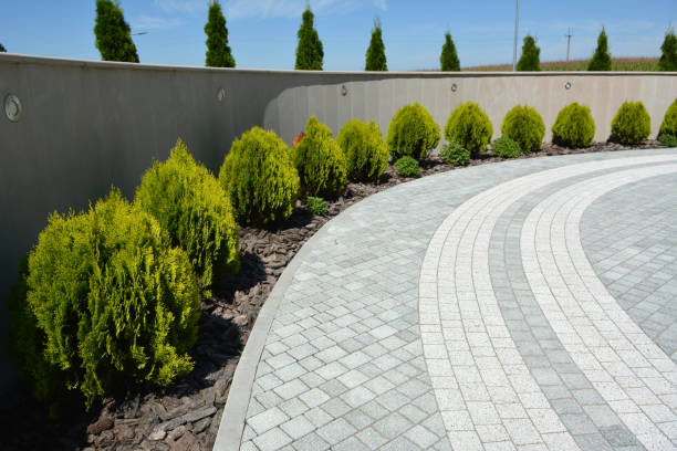 Best Best Driveway Pavers  in Frontenac, KS